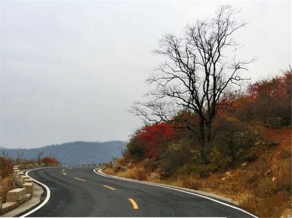 公路工程業(yè)務公司