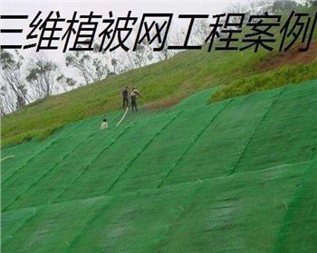 什么情況下采用三維植被網(wǎng)防護(hù)？