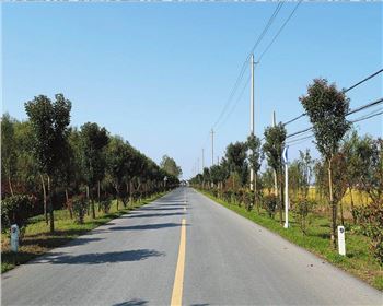  什么是公路基本建設(shè)程序？什么是公路建設(shè)項(xiàng)目經(jīng)濟(jì)評(píng)價(jià)？